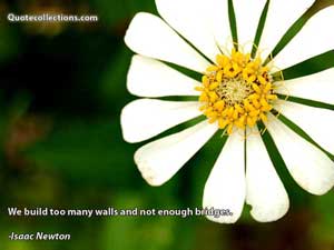 Isaac Newton Quotes 1